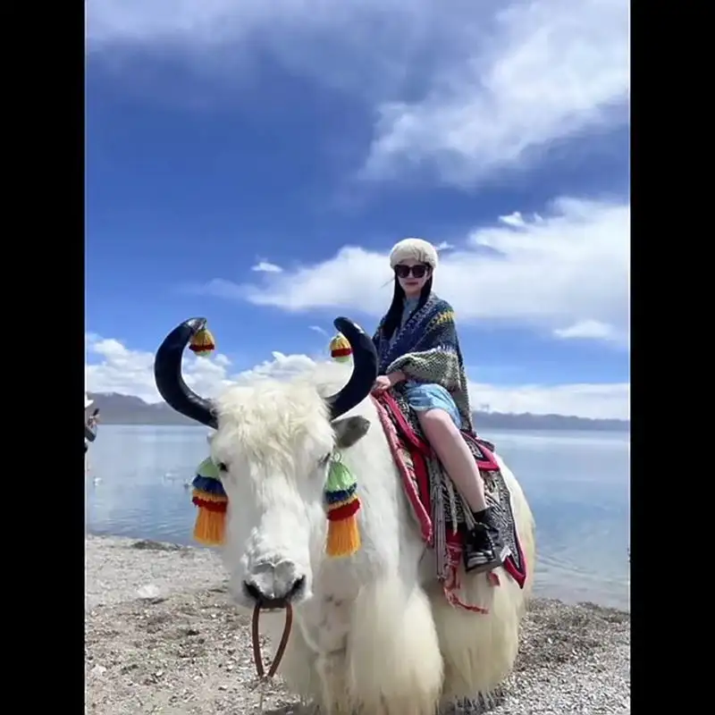 Retro shawl bohemian style large scarf very beautiful for travel photospic7